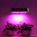 Goslash Picks Green Fingers 1000w Led Grow Light Full