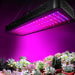 Goslash Picks Green Fingers 2000w Led Grow Light Full
