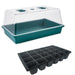 Greenhouse With Seed Tray 2 Options To Choose 1 Pack