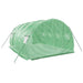 Greenhouse with Steel Frame Green 12 M² 4x3x2 m Tonnbtk