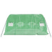 Greenhouse with Steel Frame Green 20 M² 5x4x2.3 m Tonnbnt