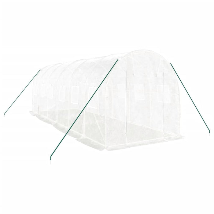 Greenhouse with Steel Frame White 12 M² 6x2x2 m Tonnbxk