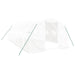Greenhouse with Steel Frame White 18 M² 6x3x2 m Tonnbpo