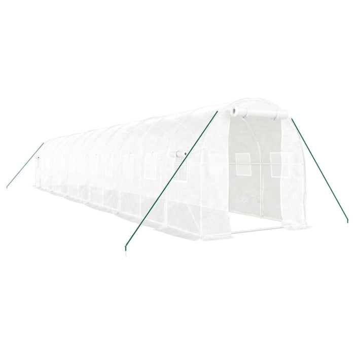 Greenhouse with Steel Frame White 24 M² 12x2x2 m Tonnbtx