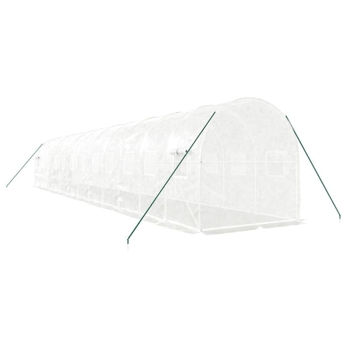 Greenhouse With Steel Frame White 24 M² 12x2x2 m Tonnbtx