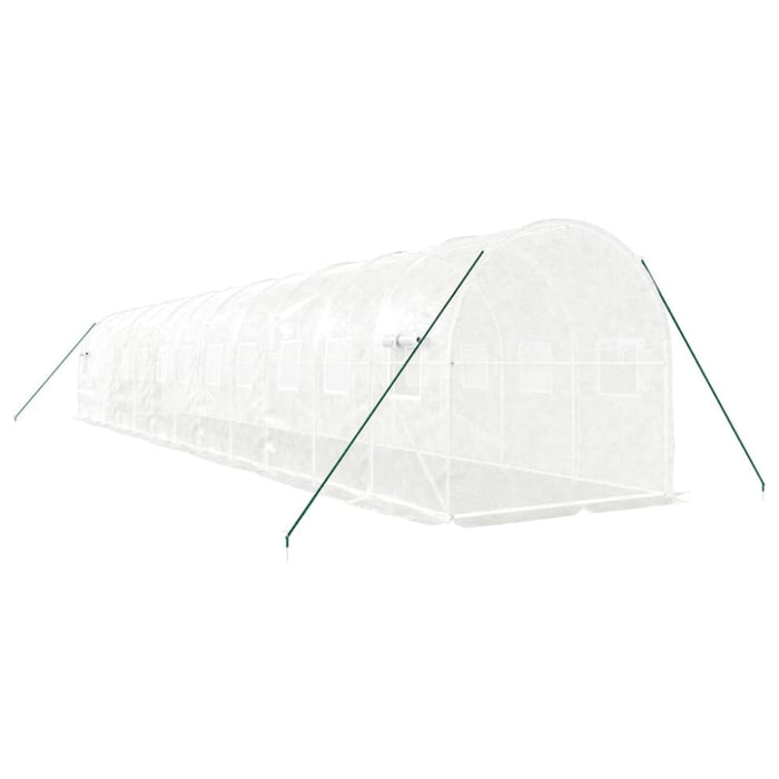 Greenhouse with Steel Frame White 24 M² 12x2x2 m Tonnbtx
