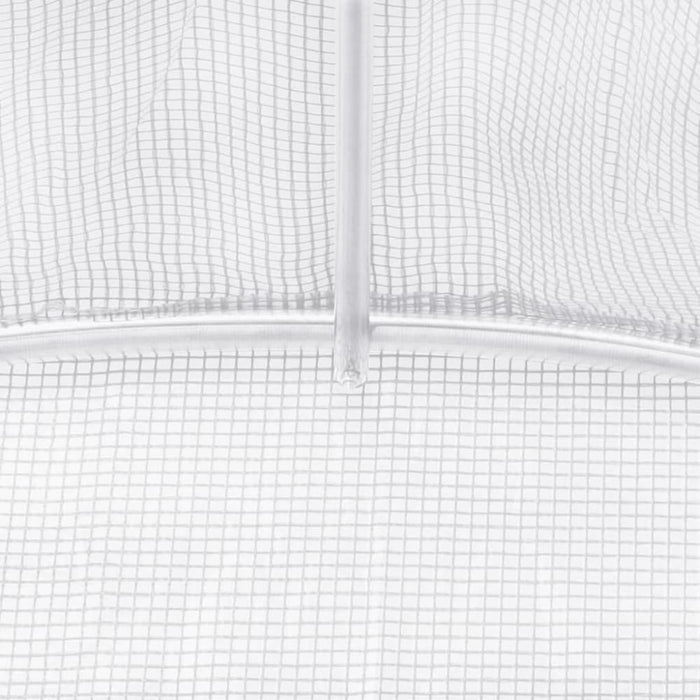 Greenhouse With Steel Frame White 24 M² 12x2x2 m Tonnbtx