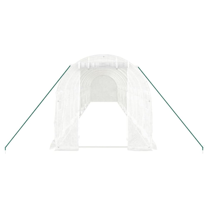 Greenhouse with Steel Frame White 24 M² 12x2x2 m Tonnbtx