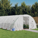 Greenhouse with Steel Frame White 24 M² 6x4x2 m Tonnbit