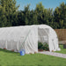 Greenhouse with Steel Frame White 30 M² 10x3x2 m Tonnbpt