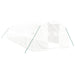 Greenhouse with Steel Frame White 30 M² 10x3x2 m Tonnbpt