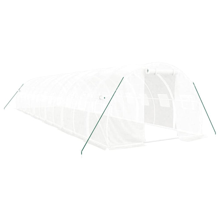 Greenhouse with Steel Frame White 36 M² 12x3x2 m Tonnbpa