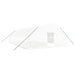 Greenhouse With Steel Frame White 60 M² 10x6x2.85 m Tonnook