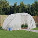 Greenhouse with Steel Frame White 8 M² 4x2x2 m Tlabnt