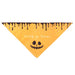 Halloween Washable Comfortable Pumpkin Witch Pattern Pet