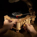 Hand Crank Classic Gramophone with Music 1:1 424pcs Wooden