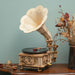 Hand Crank Classic Gramophone with Music 1:1 424pcs Wooden