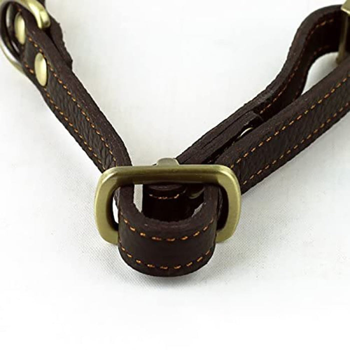 Handmade Strong Comfortable Metal Buckle Leather Collar