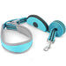 Hands Free Dog Walking Leash Reflective Nylon Pet Lead
