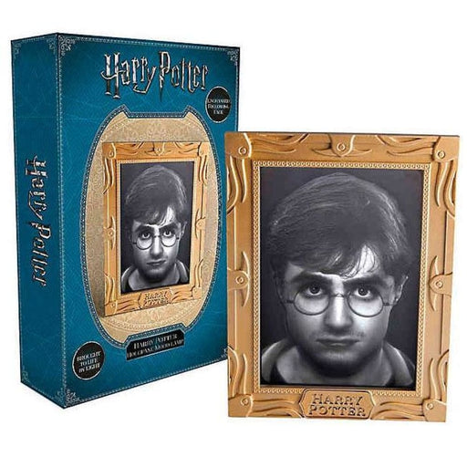Harry Potter - Holoplane Mood Lamp