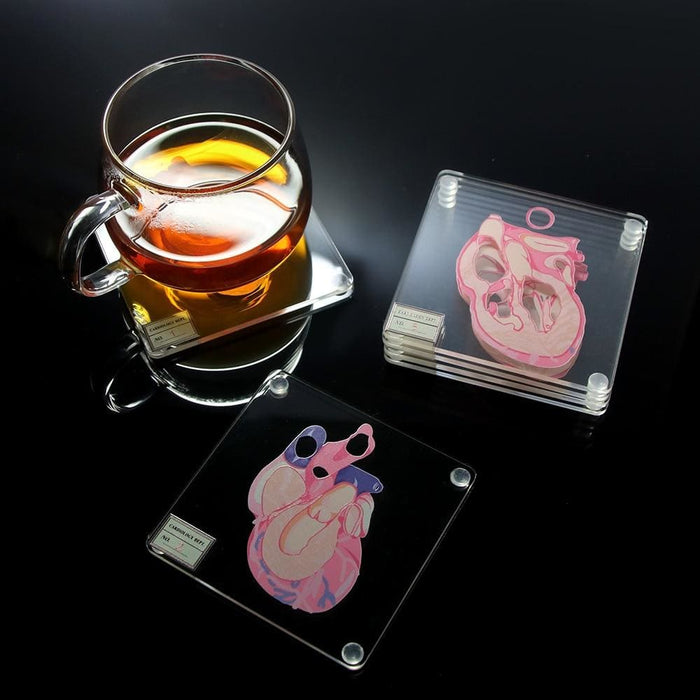 Heart Anatomy Coasters Set