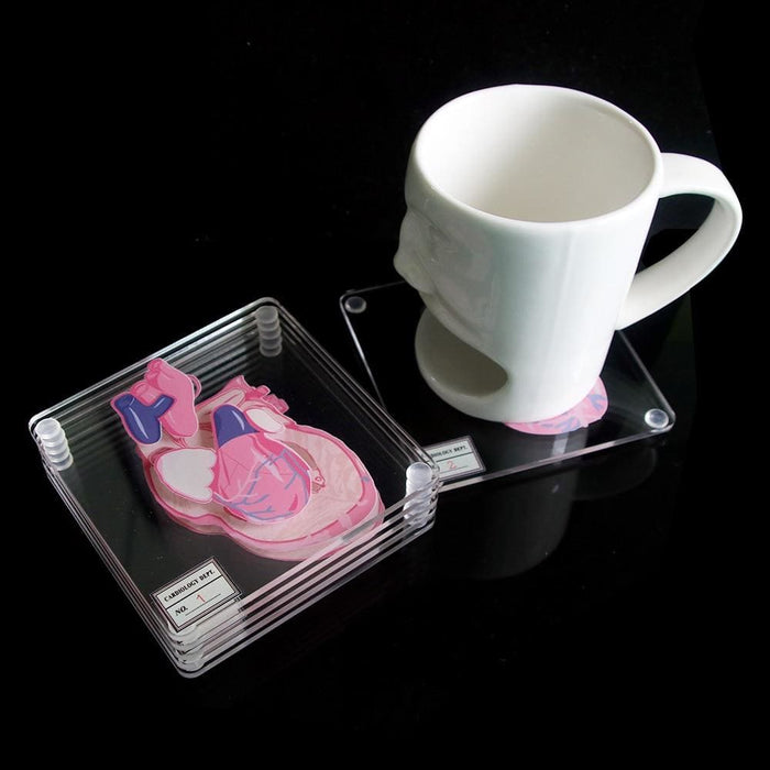 Heart Anatomy Coasters Set