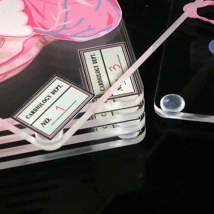 Heart Anatomy Coasters Set
