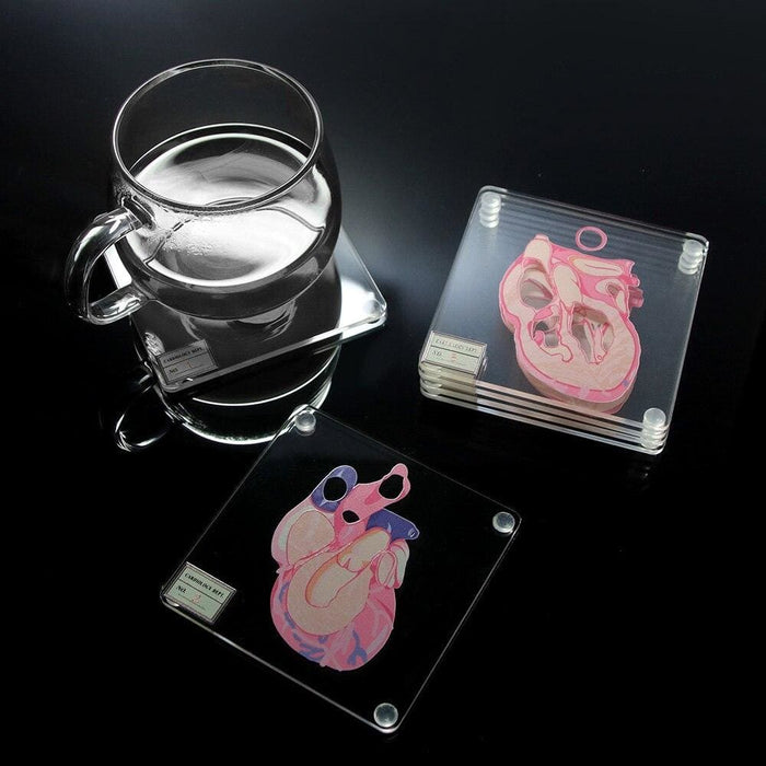 Heart Anatomy Coasters Set