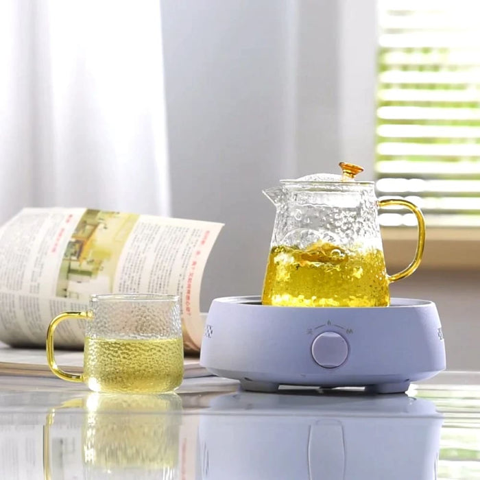 Heat Resistant Glass Tea Pot For Kung Fu