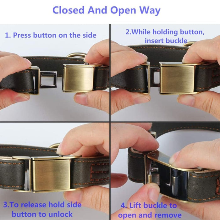 Heavy Duty Durable Comfortable Padded Pet Collar for Small