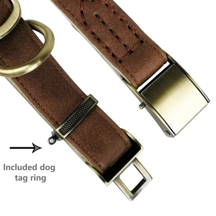 Heavy Duty Durable Comfortable Padded Pet Collar for Small