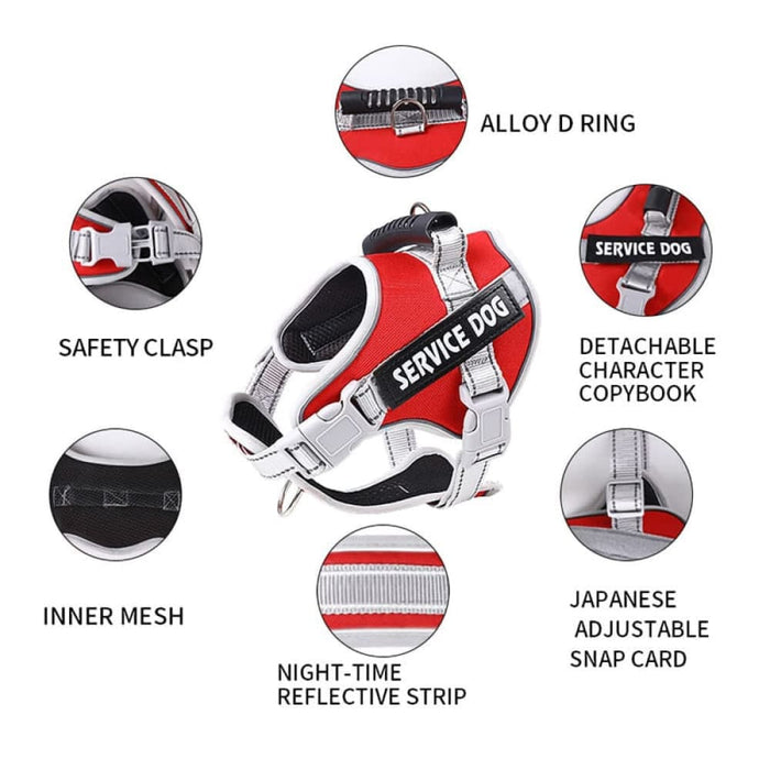 Heavy Duty no Pull Breathable Padded Dog Harness Leash Set