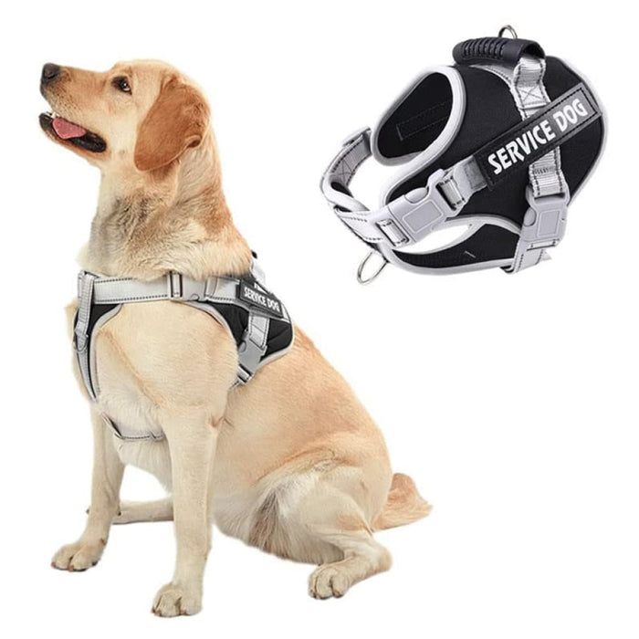 Heavy Duty no Pull Breathable Padded Dog Harness Leash Set