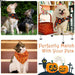 High - quality Washable Halloween Pet Bib Scarfs For Small