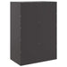 Highboard Black 67x39x95 Cm Steel Naoikk