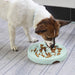 Fun Interactive Anti - slip Bloat Stop Puzzle Safe Dog Bowl