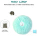 Interactive Electric Cat Toy with Catnip Plush Squeak Ball