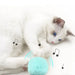 Interactive Electric Cat Toy with Catnip Plush Squeak Ball
