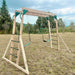 Kids Daintree 2 - in - 1 Monkey Bars & Swing Set