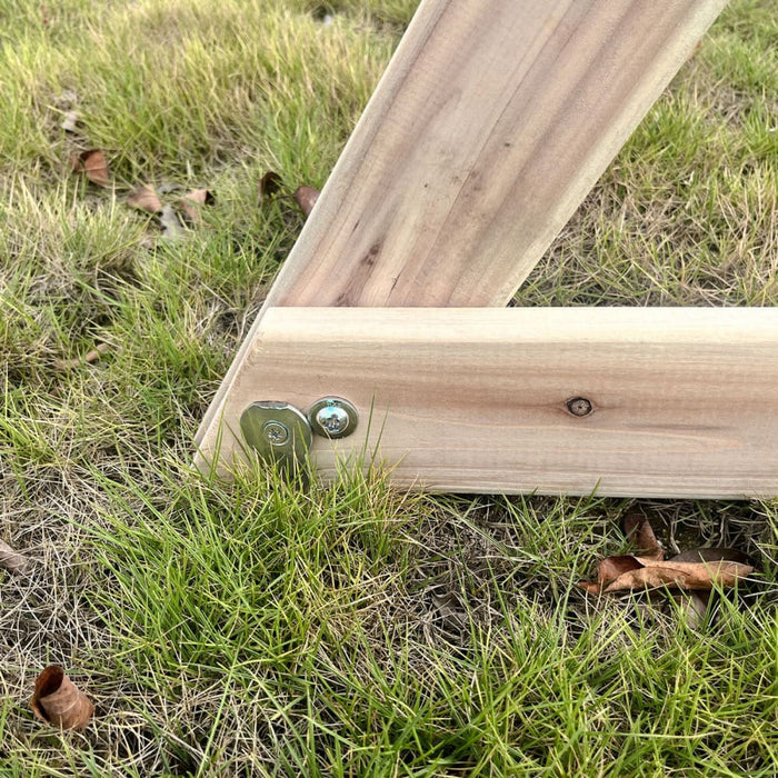 Kids Daintree 2 - in - 1 Monkey Bars & Swing Set