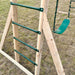 Kids Daintree 2 - in - 1 Monkey Bars & Swing Set