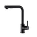 Goslash Picks Kitchen Mixer Tap Pull out Rectangle 2 Mode