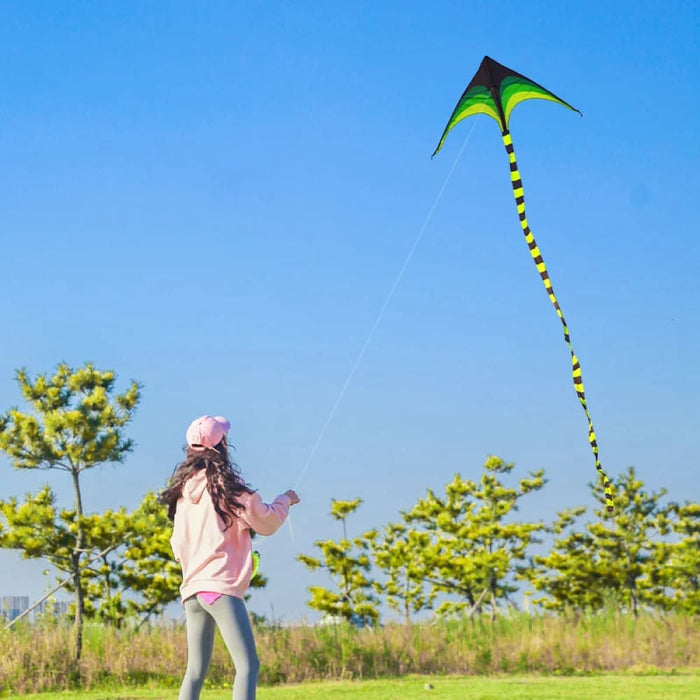 Large Delta Kite For Kids & Adults Easy To Fly Huge Come