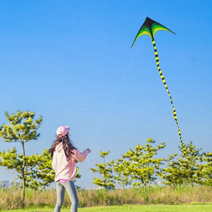Large Delta Kite for Kids & Adults Easy to Fly Huge Come