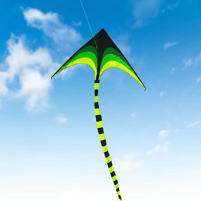 Large Delta Kite for Kids & Adults Easy to Fly Huge Come