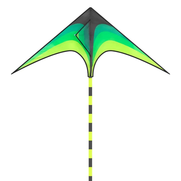 Large Delta Kite for Kids & Adults Easy to Fly Huge Come