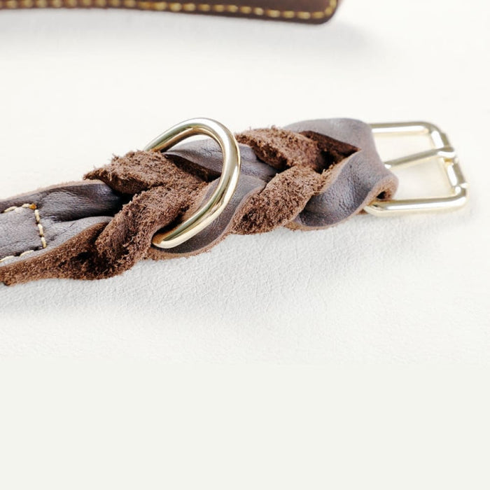 Leather Dog Collar with Copper Buckle