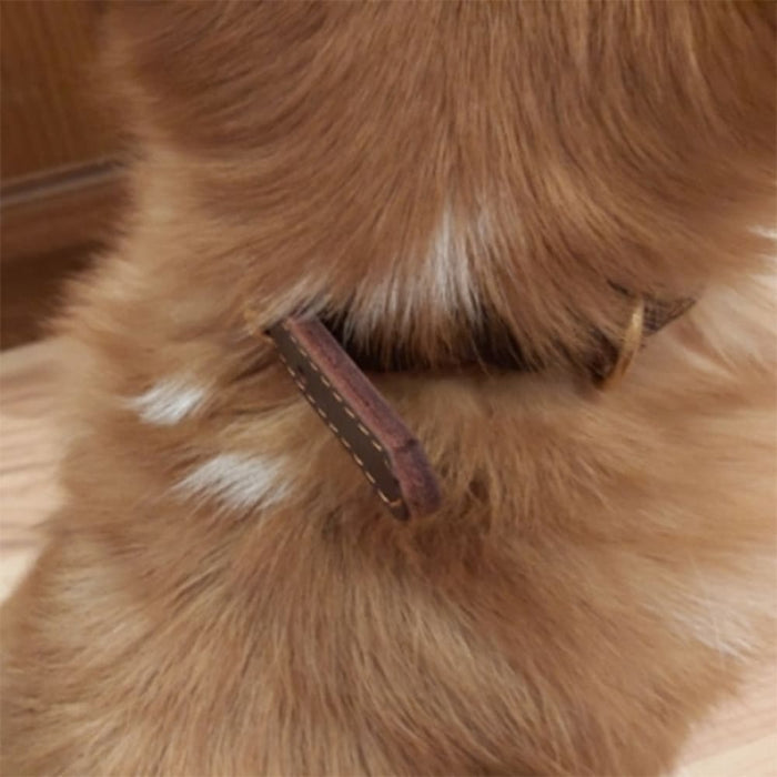Leather Dog Collar with Copper Buckle