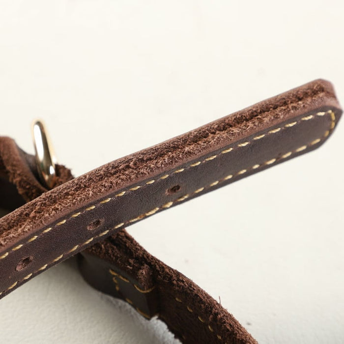 Leather Dog Collar with Copper Buckle