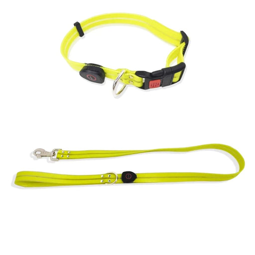 Led Dog Leash Collar Set Waterproof Usb Rechargeable